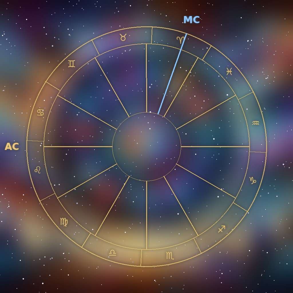 Equal house system: twelve 30-degree houses from the Ascendant, with the Midheaven falling in the 9th house